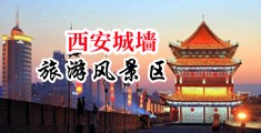 国内外最真实的操逼视频中国陕西-西安城墙旅游风景区